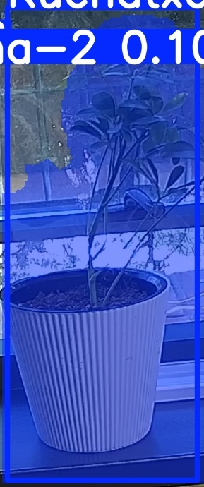 TREE-000014_20260623_083924.jpg