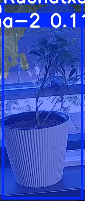 TREE-000014_20260623_084036.jpg