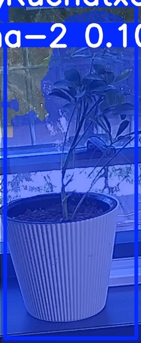 TREE-000014_20260623_084148.jpg