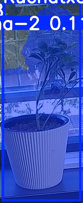 TREE-000014_20260623_084301.jpg
