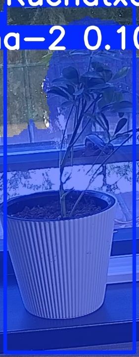TREE-000014_20260623_084405.jpg