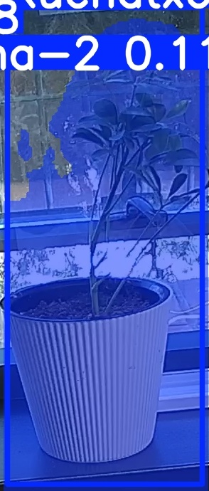 TREE-000014_20260623_084608.jpg
