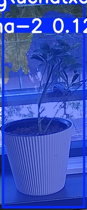 TREE-000014_20260623_084833.jpg
