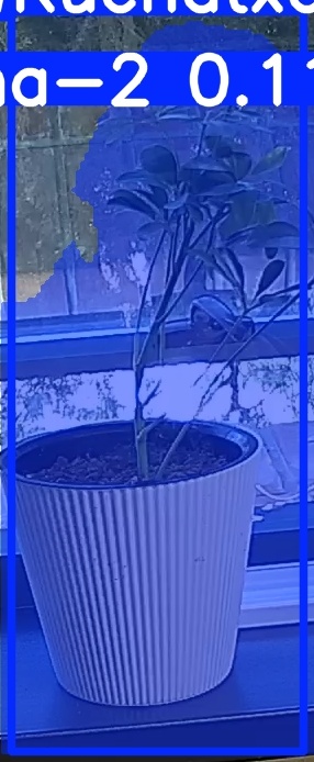 TREE-000014_20260623_084943.jpg