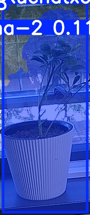 TREE-000014_20260623_085053.jpg
