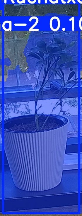 TREE-000014_20260623_085206.jpg