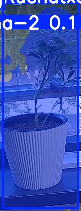 TREE-000014_20260623_085332.jpg