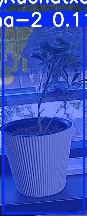 TREE-000014_20260623_085442.jpg