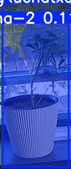 TREE-000014_20260623_085702.jpg