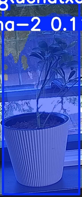 TREE-000014_20260623_085751.jpg