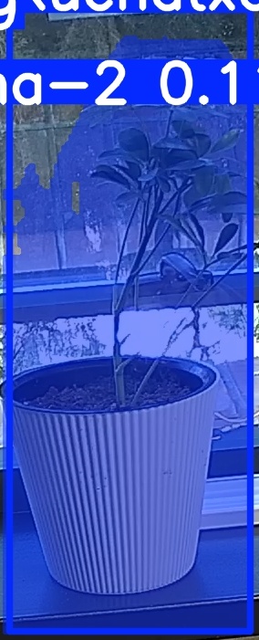 TREE-000014_20260623_085905.jpg