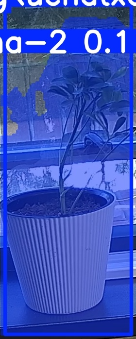 TREE-000014_20260623_091205.jpg