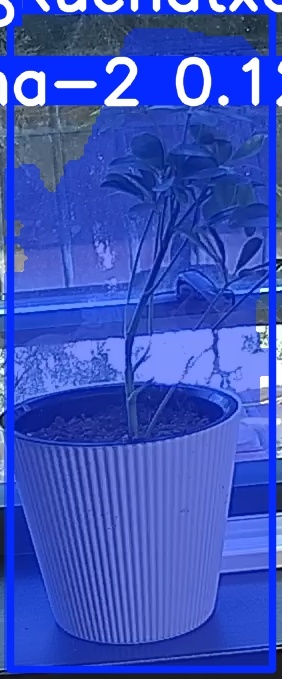 TREE-000014_20260623_091333.jpg