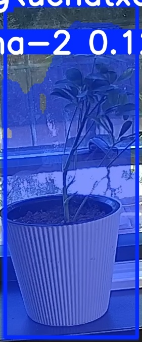 TREE-000014_20260623_091443.jpg