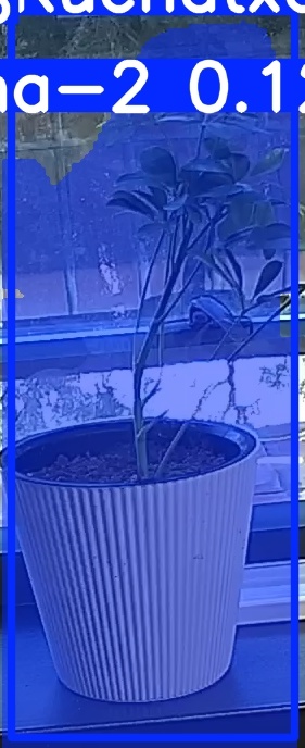 TREE-000014_20260623_091552.jpg