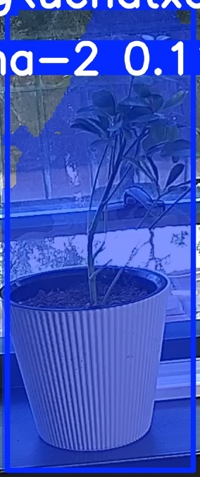 TREE-000014_20260623_091810.jpg
