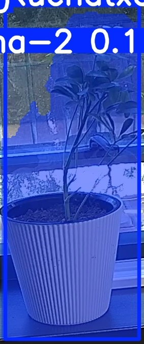 TREE-000014_20260623_091856.jpg