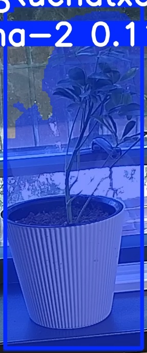TREE-000014_20260623_091930.jpg