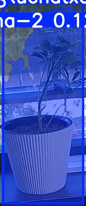 TREE-000014_20260623_091943.jpg