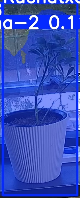 TREE-000014_20260623_092046.jpg