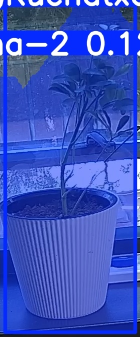 TREE-000014_20260623_092619.jpg