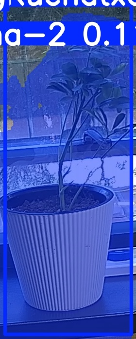 TREE-000014_20260623_092729.jpg