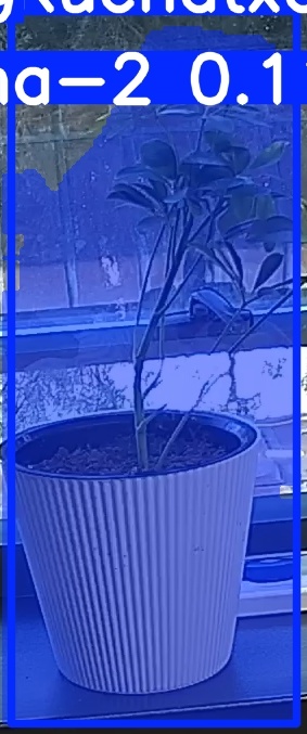 TREE-000014_20260623_092839.jpg