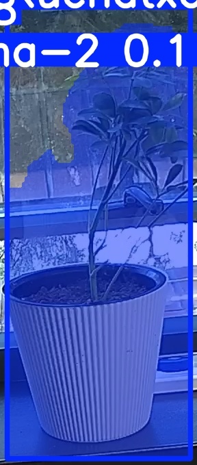 TREE-000014_20260623_093139.jpg