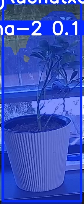 TREE-000014_20260623_093625.jpg