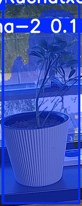 TREE-000014_20260623_101035.jpg