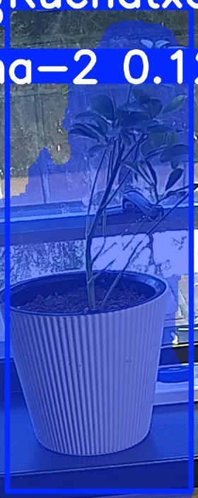TREE-000014_20260623_101146.jpg