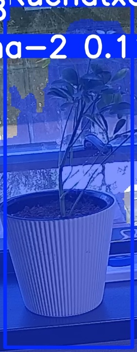 TREE-000014_20260623_101257.jpg