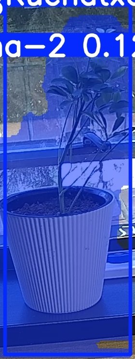 TREE-000014_20260623_101406.jpg