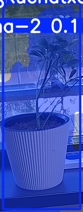 TREE-000014_20260623_101517.jpg