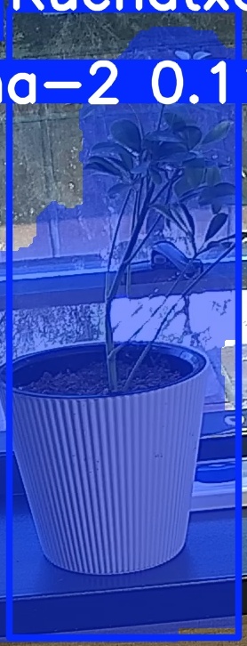 TREE-000014_20260623_101627.jpg