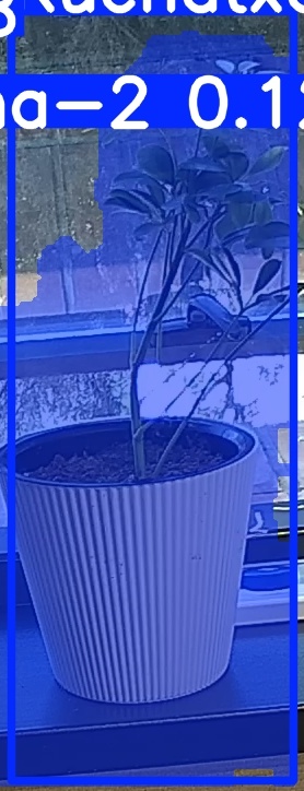 TREE-000014_20260623_101737.jpg