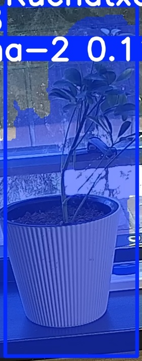 TREE-000014_20260623_101848.jpg