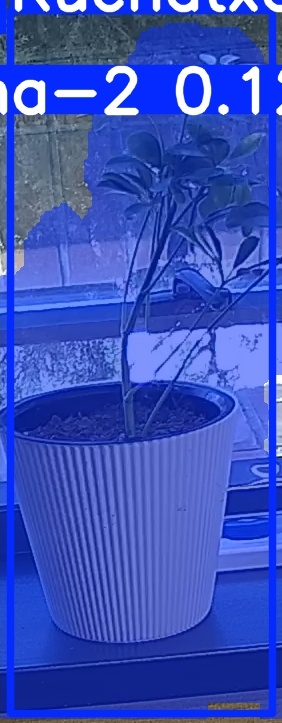TREE-000014_20260623_102135.jpg