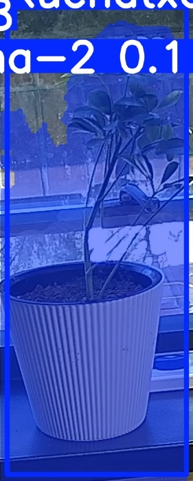 TREE-000014_20260623_102228.jpg