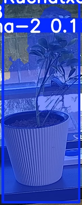 TREE-000014_20260623_102340.jpg