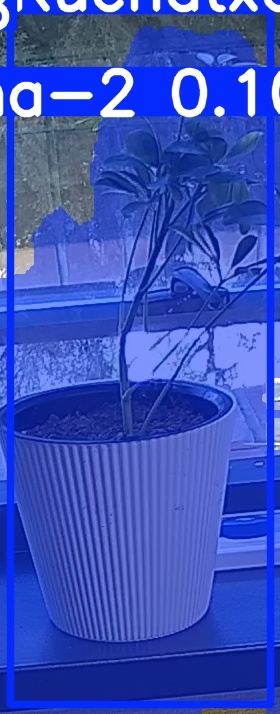 TREE-000014_20260623_102646.jpg