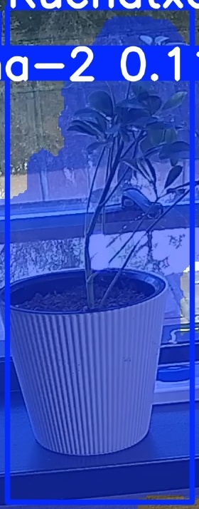 TREE-000014_20260623_103438.jpg