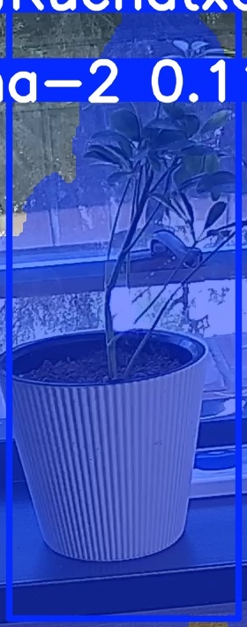 TREE-000014_20260623_104145.jpg