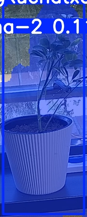 TREE-000014_20260623_104254.jpg