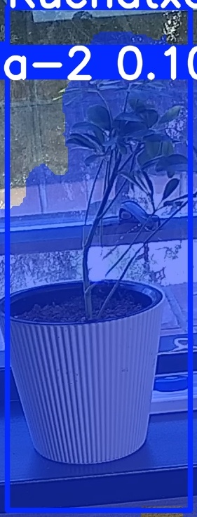 TREE-000014_20260623_104756.jpg
