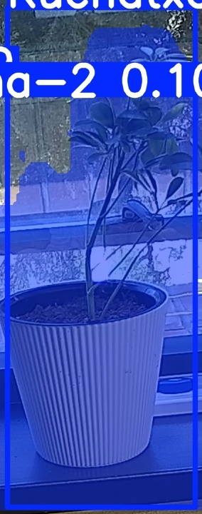 TREE-000014_20260623_105016.jpg