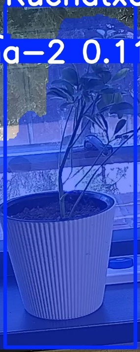 TREE-000014_20260623_105618.jpg