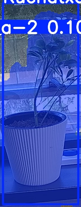 TREE-000014_20260623_105838.jpg