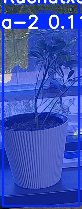 TREE-000014_20260623_110319.jpg
