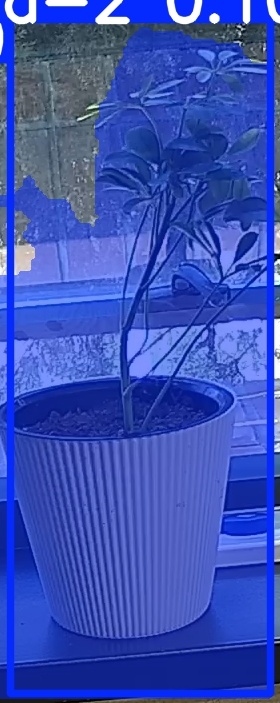 TREE-000014_20260623_111140.jpg